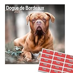 Dogue bordeaux calendar for sale  Delivered anywhere in UK