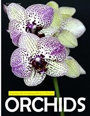 Orchids exploring enchanting for sale  Delivered anywhere in USA 