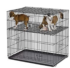 Midwest homes pets for sale  Delivered anywhere in USA 