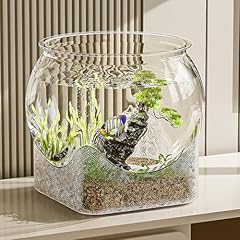 Clear aquarium betta for sale  Delivered anywhere in UK