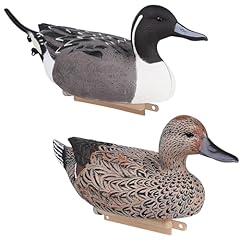 Heerweiyi pintall duck for sale  Delivered anywhere in USA 