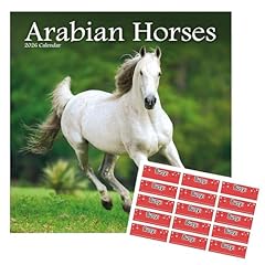 Arabian horses calendar for sale  Delivered anywhere in UK