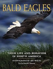 Bald eagles life for sale  Delivered anywhere in USA 