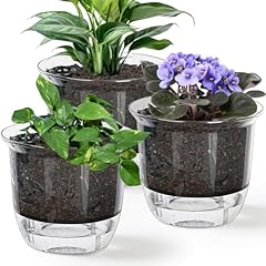 Iwntwy plant pots for sale  Delivered anywhere in USA 