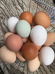 Fertile chicken eggs for sale  Delivered anywhere in USA 