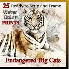 Endangered big cats for sale  Delivered anywhere in UK