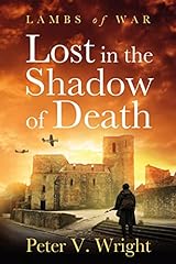 Lost the shadow for sale  Delivered anywhere in USA 