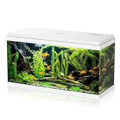 Aqpet acquario vetro usato  Spedito ovunque in Italia 