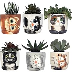 Window garden cute for sale  Delivered anywhere in USA 