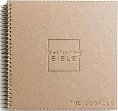 Illustrating bible niv for sale  Delivered anywhere in USA 