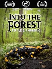 Forest reptiles amphibians for sale  Delivered anywhere in UK
