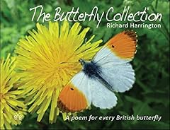 Butterfly collection for sale  Delivered anywhere in UK