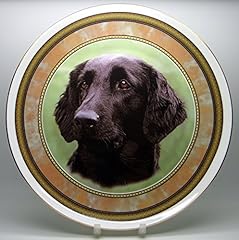 Flat coat retriever for sale  Delivered anywhere in UK