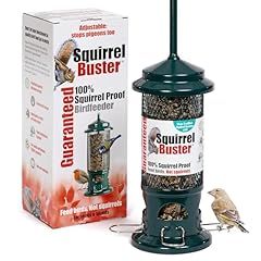 Squirrel proof bird for sale  Delivered anywhere in UK