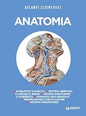 Anatomia usato  Spedito ovunque in Italia 