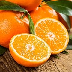 Washington navel orange for sale  Delivered anywhere in USA 