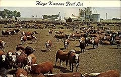 Huge kansas feed for sale  Delivered anywhere in USA 