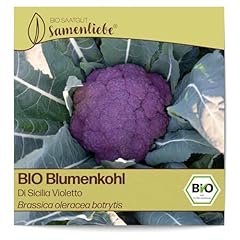 Samenliebe bio blumenkohl gebraucht kaufen  Wird an jeden Ort in Deutschland