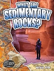 Sedimentary rocks for sale  Delivered anywhere in USA 