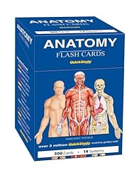 Anatomy flash cards for sale  Delivered anywhere in USA 