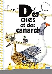 Oies canards d'occasion  Livré partout en Belgiqu