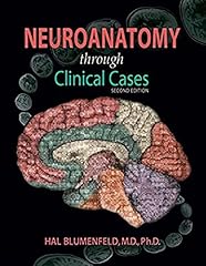 Neuroanatomy clinical cases for sale  Delivered anywhere in USA 