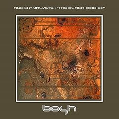 Black bird remix for sale  Delivered anywhere in USA 