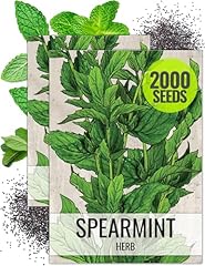 Seed needs mint for sale  Delivered anywhere in USA 
