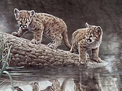 Charles frace reflections for sale  Delivered anywhere in USA 