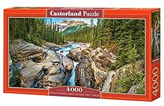 Castorland 4000 piece for sale  Delivered anywhere in USA 