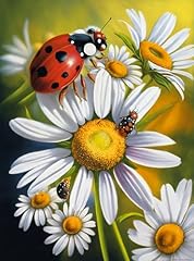 Directo daisy ladybug for sale  Delivered anywhere in USA 