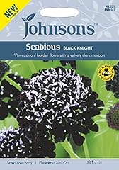 Johnsons scabious black for sale  Delivered anywhere in Ireland