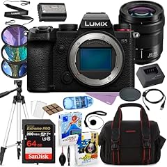 Panasonic lumix mirrorless for sale  Delivered anywhere in USA 