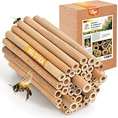 Beesi bambusröhrchen insekten gebraucht kaufen  Wird an jeden Ort in Deutschland
