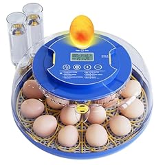 Articasting egg chicken for sale  Delivered anywhere in USA 