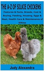 Silkie chickens features for sale  Delivered anywhere in UK