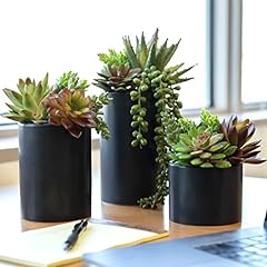 Seeko succulents artificial for sale  Delivered anywhere in USA 