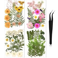 Nuanchu pressed flowers for sale  Delivered anywhere in USA 