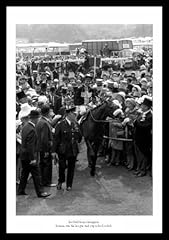 Horse racing mill for sale  Delivered anywhere in UK