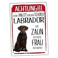 Labrador braun dog gebraucht kaufen  Wird an jeden Ort in Deutschland