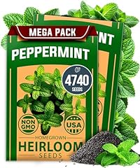 Home grown peppermint for sale  Delivered anywhere in USA 