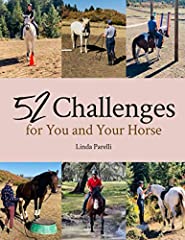 Challenges horse for sale  Delivered anywhere in USA 