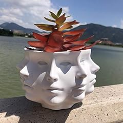 Multi face succulent for sale  Delivered anywhere in USA 