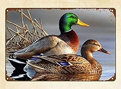 Zmkdll mallard ducks for sale  Delivered anywhere in USA 