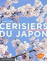 Cerisiers japon prunus d'occasion  Livré partout en Belgiqu