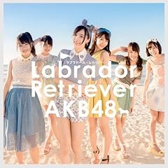 Akb48 labrador retriever for sale  Delivered anywhere in UK