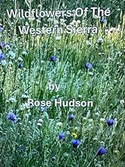 Wildflowers western sierra for sale  Delivered anywhere in USA 