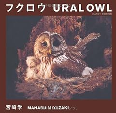 フクロウ ural owl d'occasion  Livré partout en France