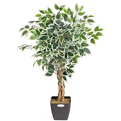 Christow artificial ficus for sale  Delivered anywhere in Ireland