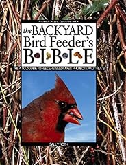 Backyard bird feeder for sale  Delivered anywhere in USA 